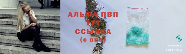 шишки Абаза
