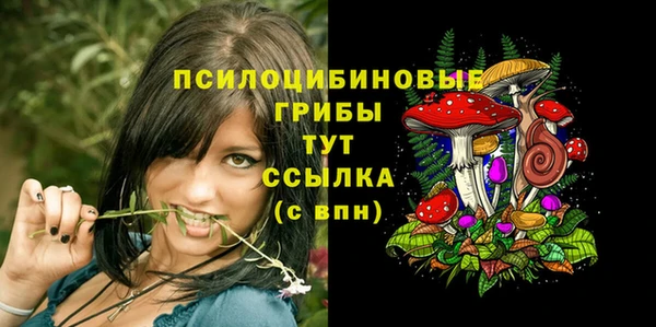трава Алзамай