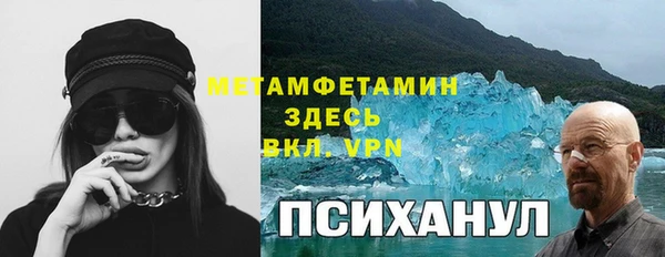 шишки Абаза